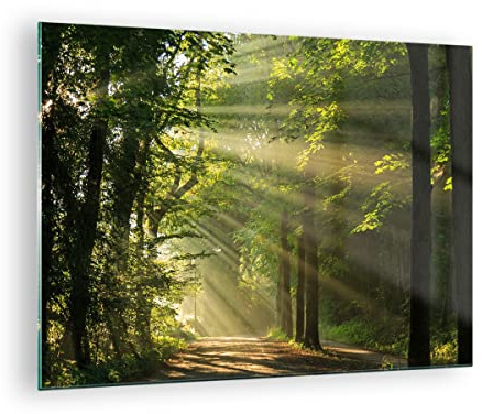 ARTTOR Bilder auf Glas 70x50cm Wandbild Glasdruck Landschaften Wald - 3661 | Baum Natur Klein Modern Dekoration Wohnzimmer Schlafzimmer Küche Wanddeko Kunstdruck Art Wall Decor ARTTOR