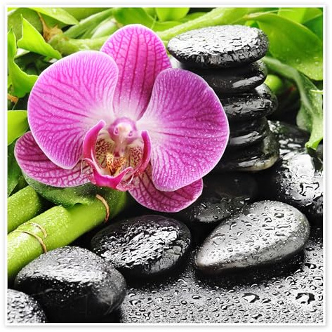 Posterlounge Cairn et orchidée Poster | 30 x 30 cm Tableaux Décoration murale