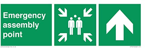 Hinweisschild mit Pfeil nach oben, 300 x 100 mm, L31