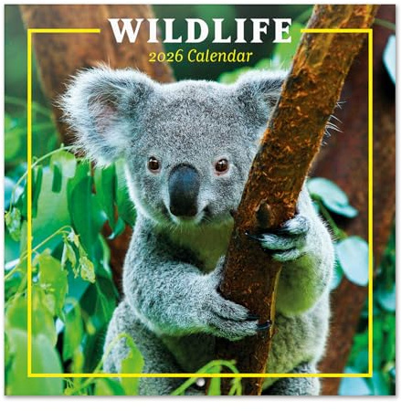 Grupo Erik - Calendrier 2026 Mural Animaux Vie Sauvage - Calendrier Mural 2026 Mensuel │ Idee Cadeau : Calendriers Muraux │ De Janvier à Décembre : Espace pour notes et Illustrations (30x60 cm)