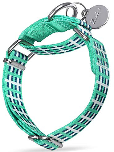 Dazzber Martingal Halsbänder für Hunde, Einstellbar-Heavy Duty- Weiche-Glatte-Leichtes Gehen Sie den Hund für Große/Klein Hunde (Mittlere, 2.5cm Breit, Blaugrün und weißes Plaid)