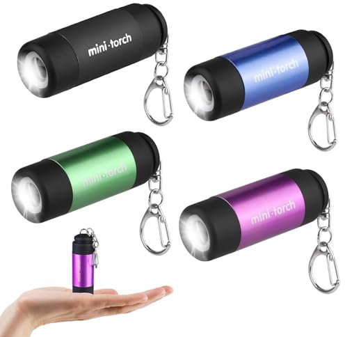 Lot de 4 mini lampes de poche LED pour enfant, petite lampe de poche LED, porte-clés, lampe de poche rechargeable par USB, petite lampe de poche pour l'escalade, le camping, l'extérieur, cadeaux