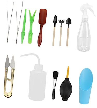 TOYANDONA Outils De Jardinage Accessoires De Plantation Et Fournitures pour Plantes Succulentes Petits Et Portables