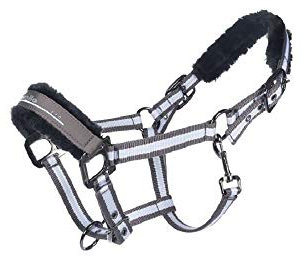 Cavallo - Helena, Halfter Großpony Truffle