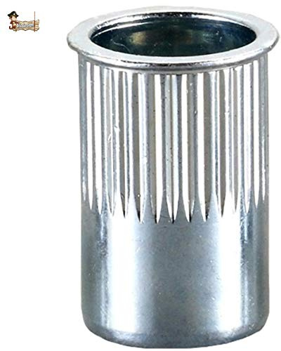 BricoLoco écrou riveté inox M4-M8 Rivet fileté. Tête basse Rainuré. Plusieurs tailles et emballages. (250, métrique 8)