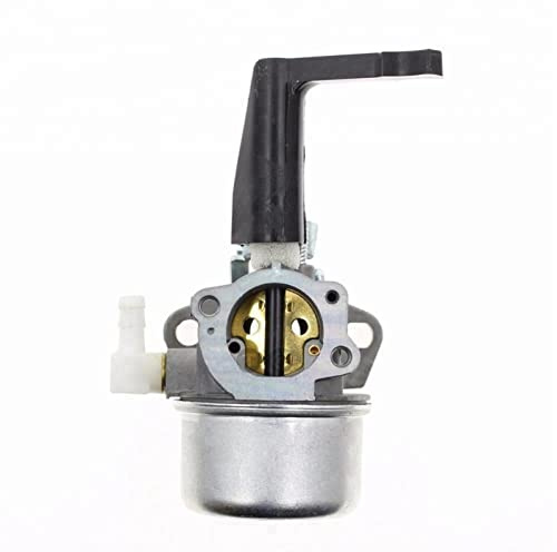 ICHIPY Carburateur 696065 697422 pour moteur de motoculteur Briggs & Stratton 110402 110412 215369