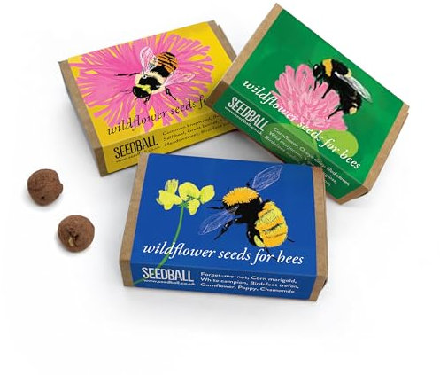 SEEDBALL Bumble Bee Mix Seed Bombs (3X Wild Flower Match Boxes, 6 Balls Per Box), Bee Friendly British Wildflower Seeds | Gardening Gifts for Women & Men, Seed Bomb with Poppy, Cornflower, and More