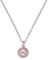 Ted Baker Soltell Solitaire Sparkle Crystal Necklace For Women (Rose Gold Tone/Crystal)
