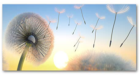 Tulup Leinwandbild - Wandkunst - Drucke auf Leinwand - Leinwanddruck -100x50 cm - Blumen & Pflanzen - Beige - Pusteblume