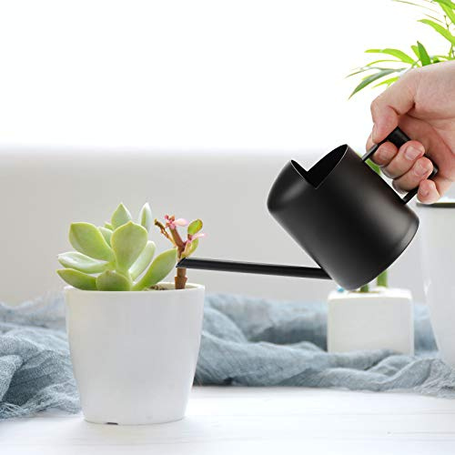 Danolt 300ML Schwarz Gießkanne Klein Zimmerpflanzen, Mini Gießkanne Metall Langem Auslauf Giesskanne Klein ZimmerpflanzenInnen für Innen Wohnung Home Büro Sukkulenten