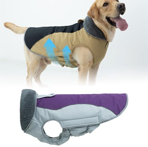 Hundemantel Wasserdicht Wind dichte, Winter Hundejacke mit Bauchschutz, Winterjacken Wintermantel Hundeweste mit Fleece Gefütterte Reflektierend für Kleine Mittelere un d Große Hunde (Lila, M)