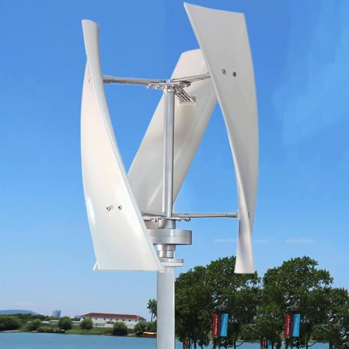 DPLXQPP Generatore Eolico Verticale,Mulino Vento Bassa velocità 3 Pale 3000w/8000w con Controller per Turbina Eolica,3000W-24V