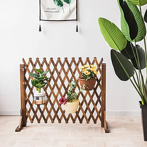 Panneau de clôture portable en bois massif pour plantes grimpantes et jardin - Cloison de séparation décorative (blanc/marron, 160 x 70/80 cm)