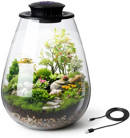 Widecook Terrarium de bureau en verre avec lampe de croissance, 17 x 22 cm, mini plante en verre borosilicate pour mousse succulente, paysage de jardinage miniature, petit aquarium, croissance des
