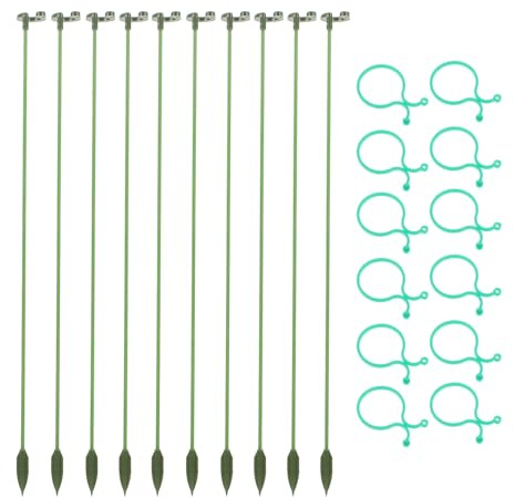 Toddmomy Support pour Plantes Grimpantes en Pot Tuteur pour Fleurs Simples Ensemble 15 Tiges 10 Clips Résistant à la Décoloration Solide pour Jardin Intérieur et Extérieur