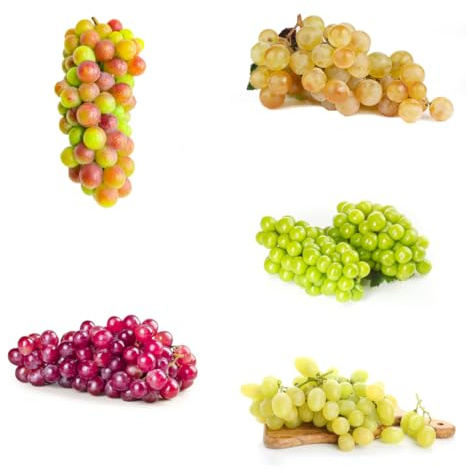 weintrauben pflanzen samen - weinrebe samen（trauben）、 säulenobstbäume、baumsamen obstbäume、pflanzen für sonnige plätze kletterpflanzen、zimmerpflanzen、pflanzen samen pflanzen 50pcs