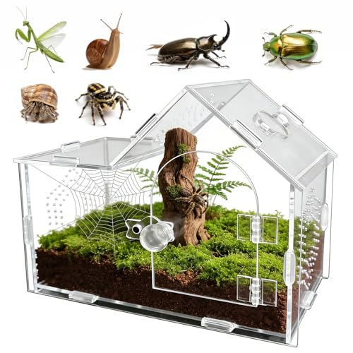 GTSEEMUU Springspinnen-Gehäuse aus Acryl mit Magnetverschluss – Transparente belüftete Terrarium-Box für Vogelspinnen, Geckos, Gottesanbeterinnen, Einsiedlerkrebse, Schnecken und andere kleine