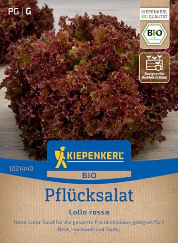Pflücksalatsamen Lollo rossa
