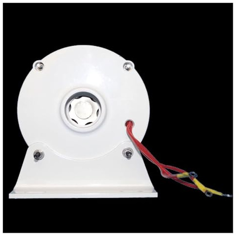 Turbina aerogeneradora trifásica de 6000W, baja velocidad, 500RPM, 4KW, 5KW, 6KW, 12V, 24V, 48V, turbina aerogeneradora trifásica for turbina eólica DIY Generación de energía de alta eficiencia y bajo