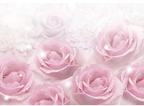 Runa Art Fototapete Blumen Rosen 352 x 250 cm Vlies Tapeten XXL Moderne Wandtapete Wohnzimmer Schlafzimmer Rosa 9412011a