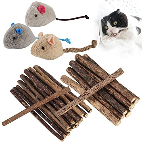 Newoutset 33 STK Katzenminze Sticks, Katzenminzen Spielzeug, Katzenspielzeug, Katzen Kaustäbchen (einschließlich 3 x Katzenmausspielzeug), Matatabi Katzen Kauspielzeug Zahnpflege Sticks