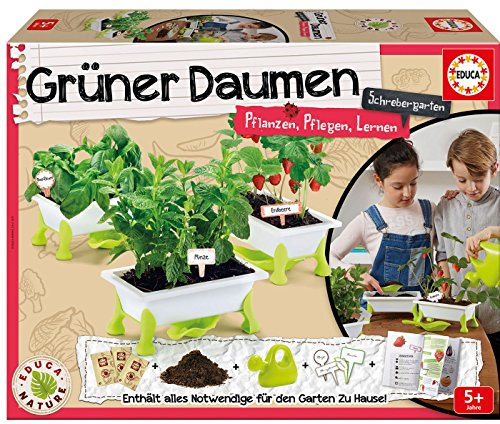 Educa 17545 Grüner Daumen Erdbeeren-Minz-Basilikum