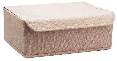 ALYER Organizador de cajones Plegable, Separador de cajones para Ropa Interior para Calcetines, Bragas, Sujetadores, Ropa, Robusto Separador de Almacenamiento de Armario con Tapa