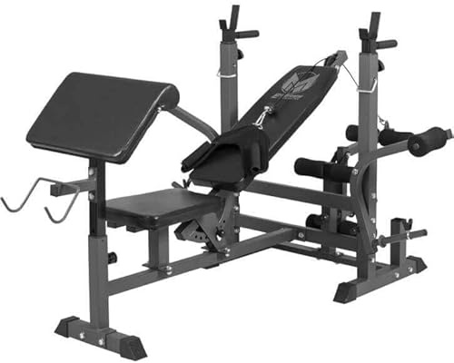 GYRONETICS® Panca Pesi Multifunzione - Portabilanciere, Schienale Regolabile, 165 x 139 x 128cm, Carico Max 280kg, Stazione a Dip, Butterfly, Panca Scott, Curl per Gambe - Palestra e Casa, Allenamento