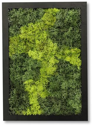 comforder Quadro Muschio Stabilizzato Rettangolare (17x24 cm), Muschio Stabilizzato con Cornice in Legno, Muschio Vero per Decorazione da Parete Soggiorno