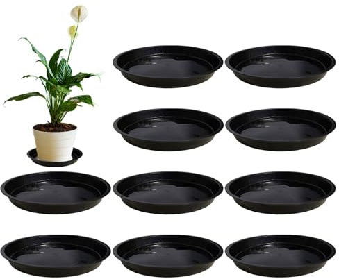 Sivono Lot de 10 soucoupes de pot de fleurs, 14 cm, soucoupes pour assiettes en plastique, dessous de pot de fleurs, dessous de pot de fleurs, dessous de pot de fleurs, dessous de pot de fleurs, pour
