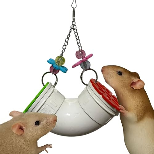 Homedy Crafts Mouse Rat Enrichment Toys Foraging, Treat Dispenser Rats Foraging Toy, Interactive Hide Treats Enrichment Hamster Toy for Rats Guinea Pig Small Pet, Hanging Slow Feeder (S, Plastic)