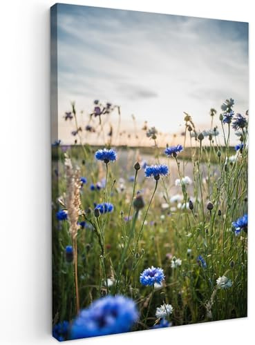 MuchoWow© Leinwand Bilder, Einzigartige Wanddeko mit Rahmen, Blumen | 60x90 cm - Sommer - Kornblume - Blau - Sonne - Wolken, Wandbilder Wohnzimmer, Deko Schlafzimmer