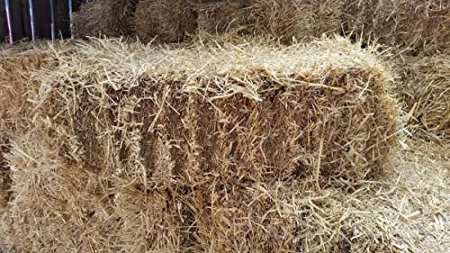 Fleet Farm Barley Straw Bale - Feed Quality. Full Bale, approx 35in x 15in x 14in, 18kg. Next Day DPD Delivery.