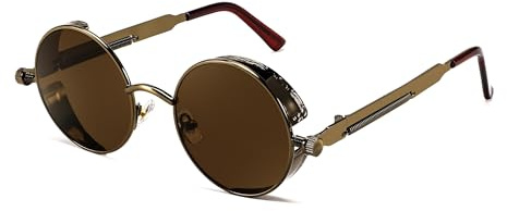 FEISEDY Retro Gothic Steampunk Sunglasses Round Metal Frame Punk Circle Inspired Shade Men B1857