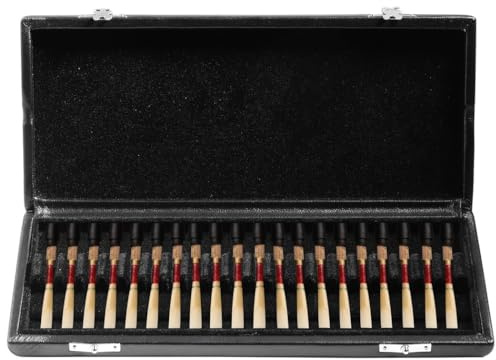 BOSREROY Koffer für Stimmzungeninstrumente mit Lederschutz, 20-Slot Klarinette & Tenorsaxophon Hartschalenbox, Vitalizer Holzblasinstrumente Reed Case