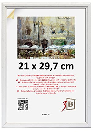 3-B Bilderrahmen GERA - Weiß - 21x29,7 cm (A4) - Holzrahmen, Fotorahmen, Portraitrahmen mit Acrylglas