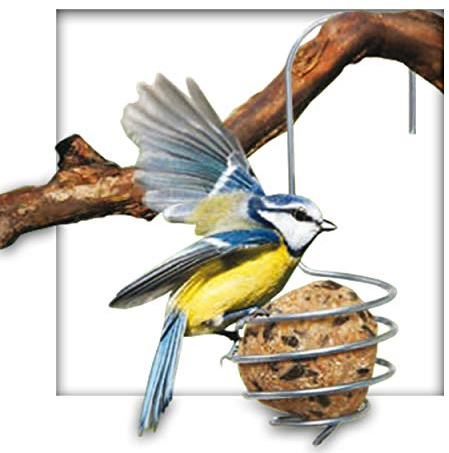 Kieskönig Meisenknödelhalter 6 Stück, Umweltfreundlich ohne Plastik, Hängend, Stahl, Vogel-Freundlich, Dekoration, Vögel, Vogelfutterspender, Vogelfutterhalter
