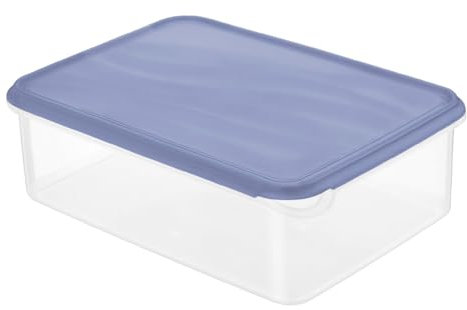 Rotho Kühlschrankdose Rondo 5 l horizon blau, Frischhaltedose, Vorratsdose