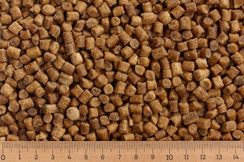 2,50 €/kg - 25 kg Premium Koifutter Coarse 6 mm | sinkendes Pellet speziell für Herbst und Winter