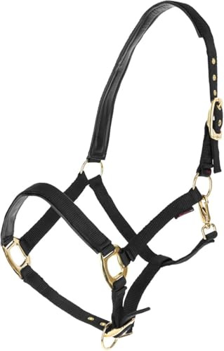Brama West Halfter Pferd Golden Line | Pferdehalfter mit Goldenen Beschlägen (Schwarz, XFull)