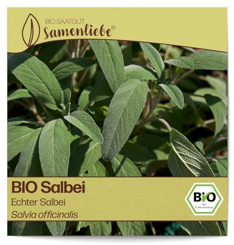 Samenliebe BIO Salbei Samen alte Sorte Echter Salbei würzige Gartenkräuter 100 Samen samenfestes Kräuter Saatgut für Küche indoor und Balkon Garten BIO Kräutersamen mehrjährig und winterhart