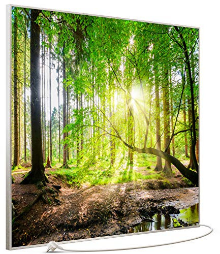STEINFELD Bild Infrarotheizung mit Thermostat | Made in Germany | viele Motive 350-1200 Watt Rahmen silber (1200W, 067 Wald Panorama)
