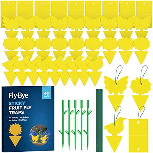 Fly-Bye - 40x Klebrige Frucht Fliegenfalle - Trauermücken Bekämpfen - Fruchtfliegenfalle Gegen Trauermücken - Pilzmückenvernichter - Klebrige Mückenfalle - Gelbtafeln Trauermücken - Wert 40er Pack
