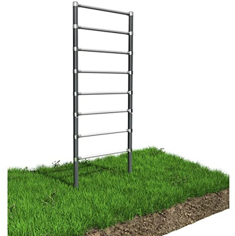 QLS Espalier d'extérieur pour adultes - Échelle de gymnastique - Mur d'escalade - En acier - Barre de traction - 8 échelons - Jusqu'à 250 kg - Entraînement de rue