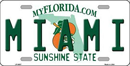 TammieLove Nummernschild Miami Florida Bundesstaat Hintergrund Neuheit Nummernschild Schild 15 x 30 cm