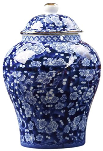 POPETPOP Barattolo da Tè con Ermetico Contenitore Multifunzionale per Cucina per Conservare Tè Sfusi e Alimenti Secchi