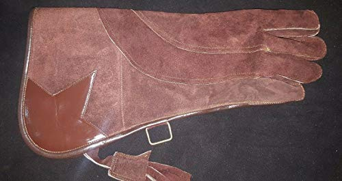 Fauconnerie, Aigle, Chouette Droit Main Côté Gant 3 Couche Cuir Daim 16, Fermé Marron - Medium
