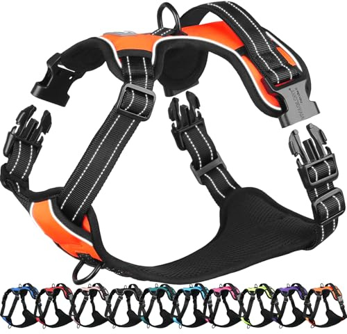 VIVAGLORY Easefit No Pull Dog Harness with Handle & Front Clip, No Pull & Heavy Duty for Puppy Pet, Dog Harness for Training & Walking, XS, Orange