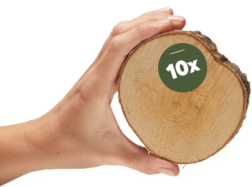 Kleine Holzscheiben 8 cm zum Holz-Deko Basteln - 10 Stk. runde EU Birkenholz Baumscheiben