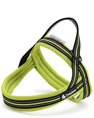 WINHYEPET Dog Harness Breathable Comfortable Mesh Convenience Adjustable Vest for Small Medium Large Dogs Walking and Training WHPEU15811